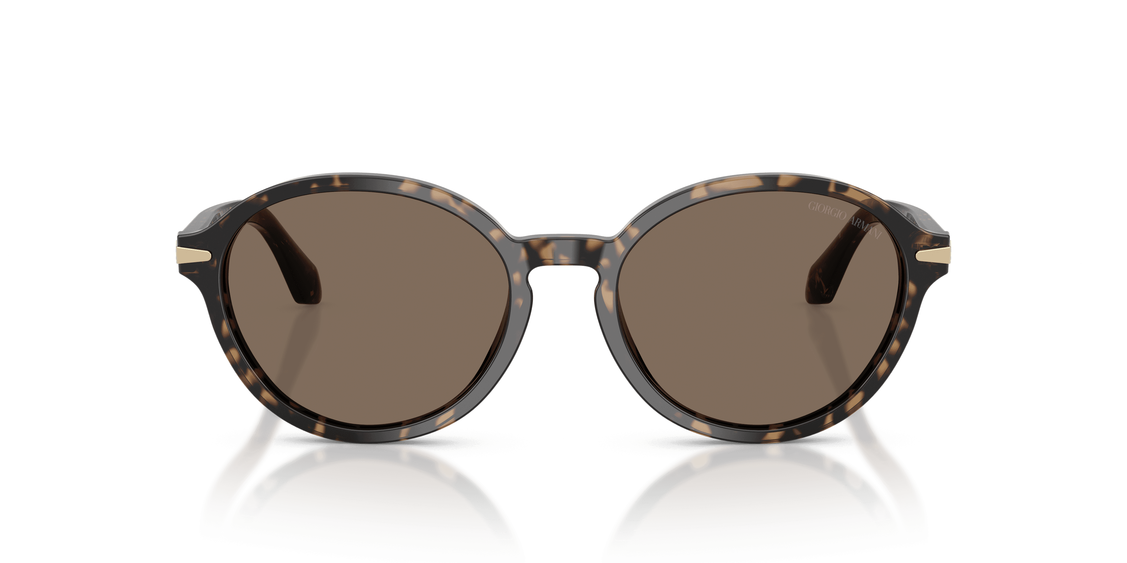 Giorgio Armani 0AR8237 Güneş Gözlüğü 4