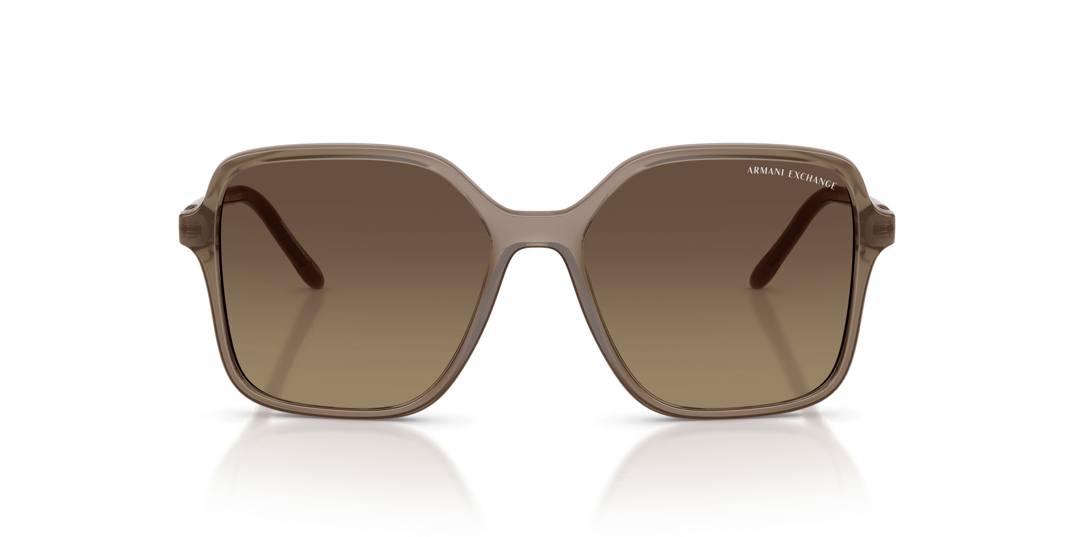 Armani Exchange 0AX4163S Güneş Gözlüğü 4