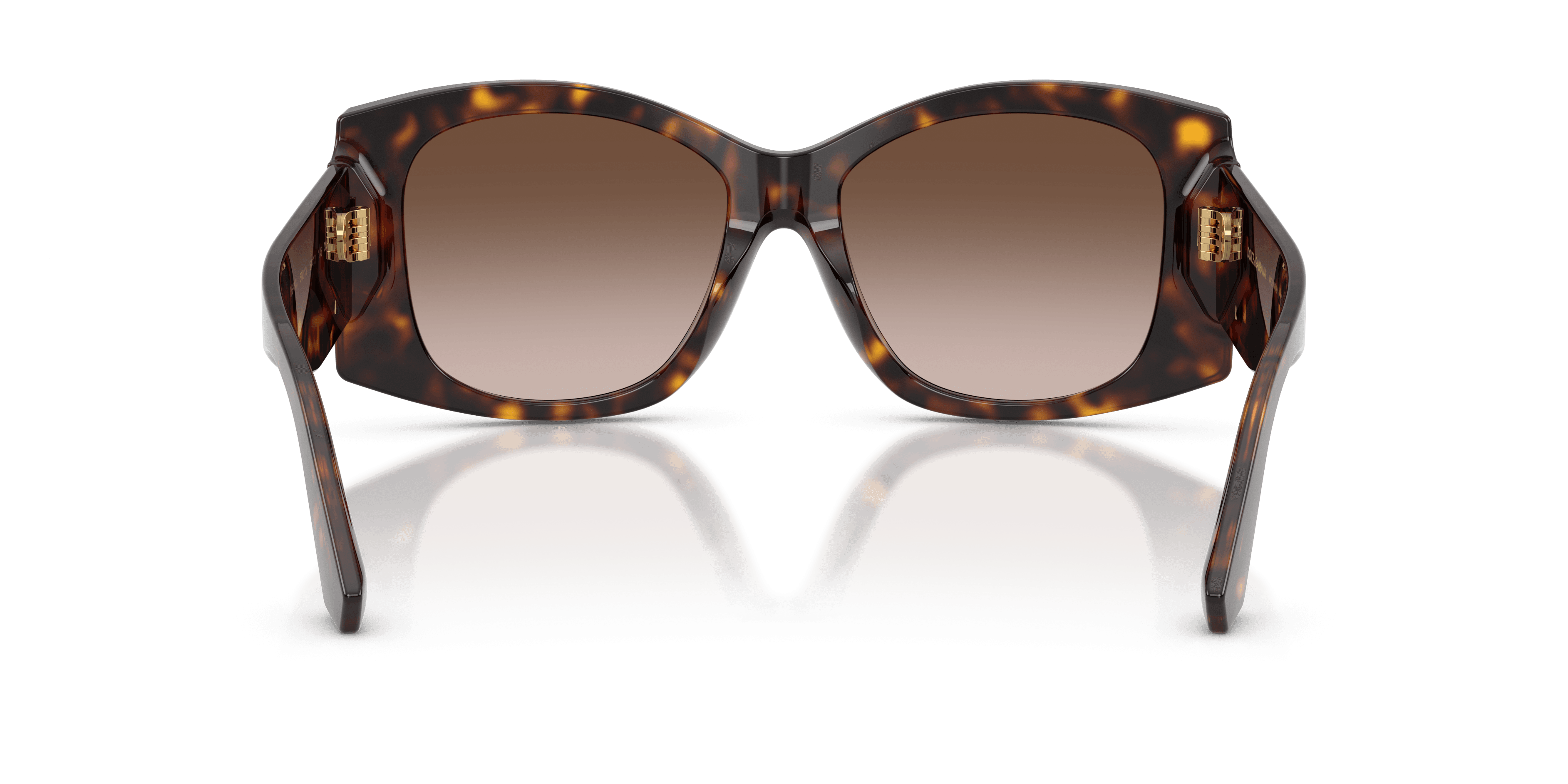 Dolce&Gabbana 0DG4501 Güneş Gözlüğü 3