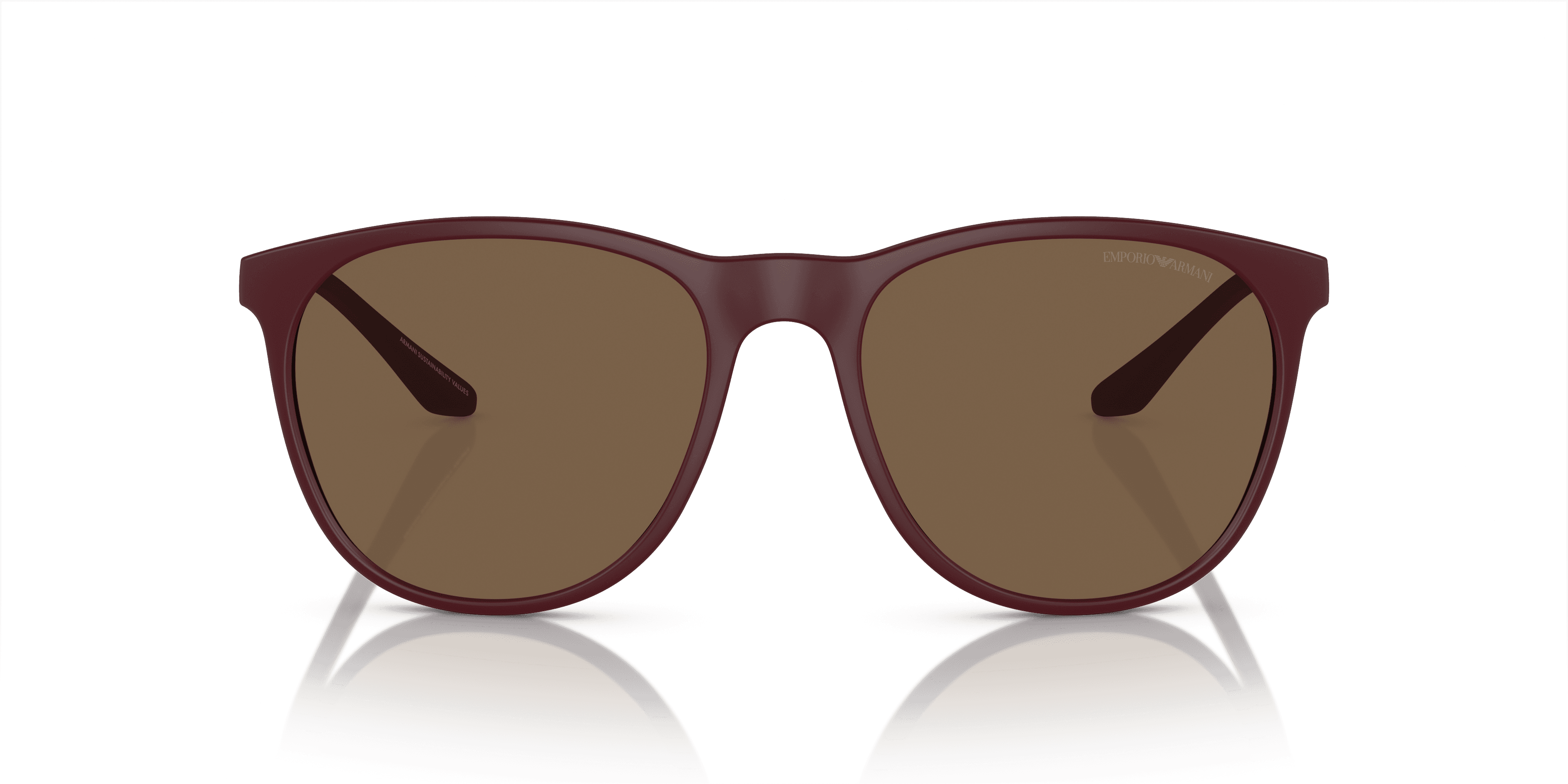 Emporio Armani 0EA4210 Güneş Gözlüğü 4