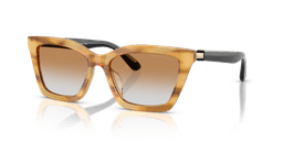 Emporio Armani 0EA4250U Güneş Gözlüğü
