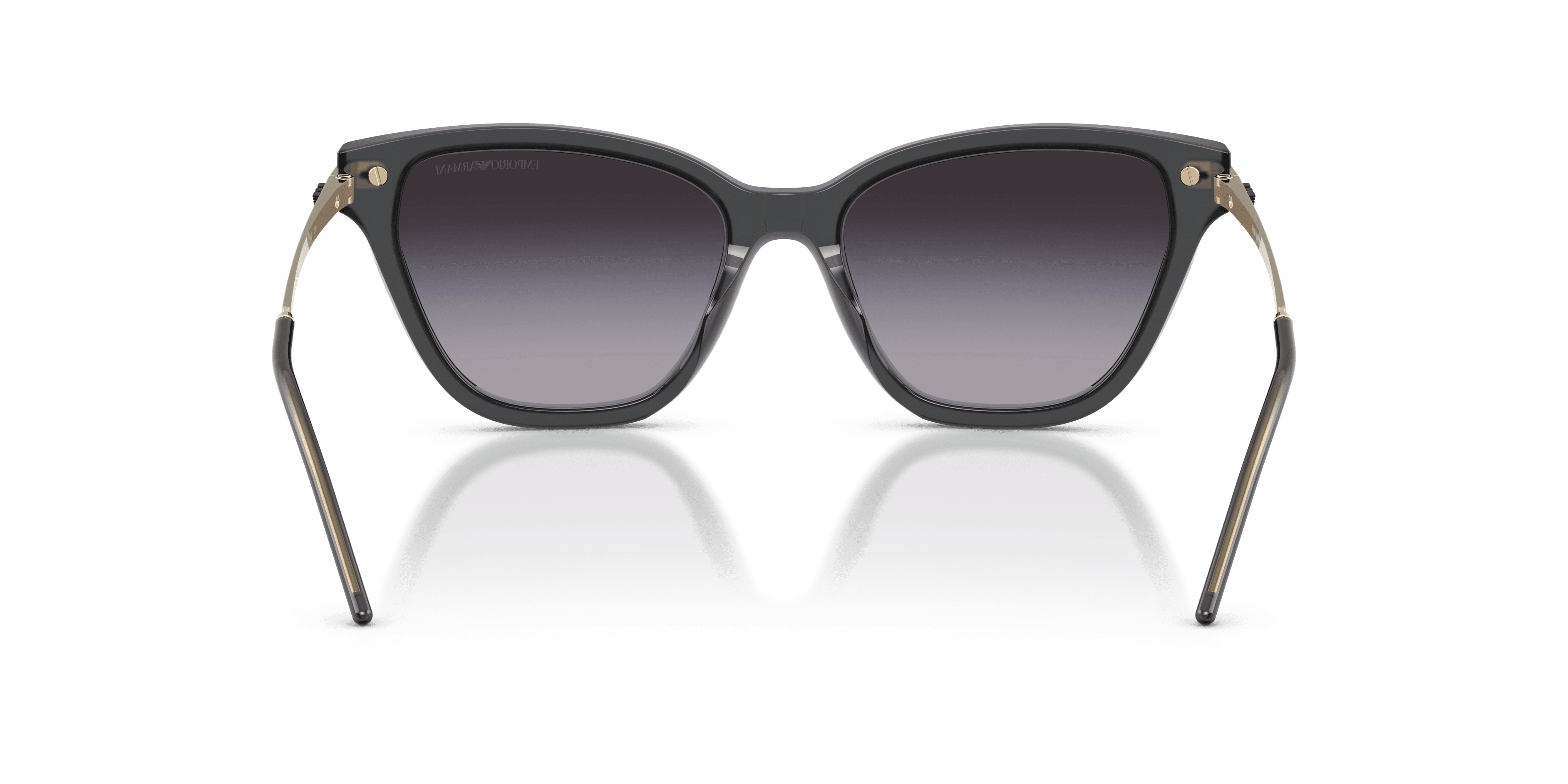 Emporio Armani 0EA4251 Güneş Gözlüğü 3