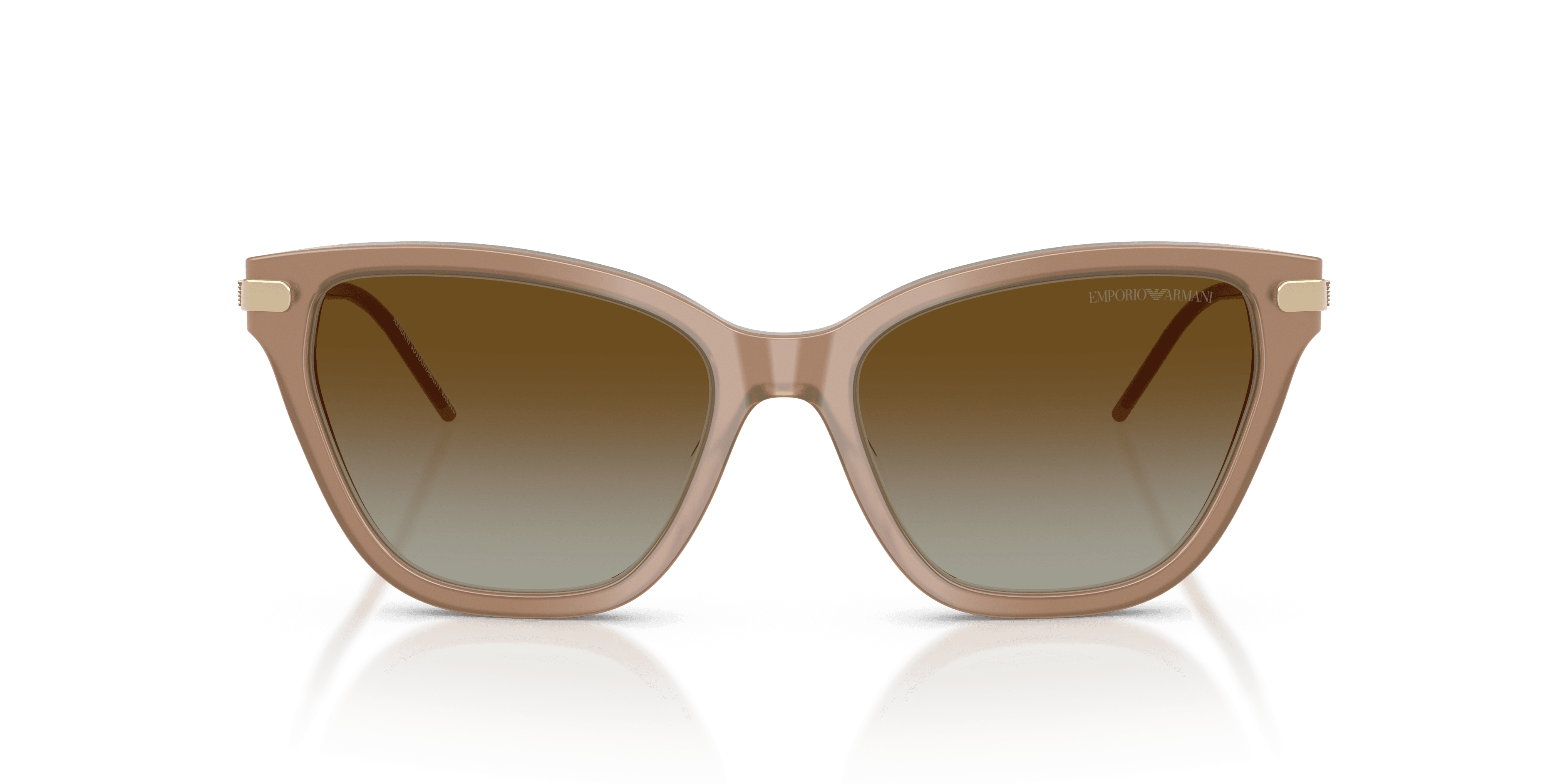 Emporio Armani 0EA4251 Güneş Gözlüğü 4