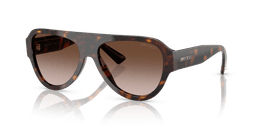 Jimmy Choo 0JC5027 Güneş Gözlüğü