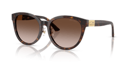 Jimmy Choo 0JC5032D Güneş Gözlüğü