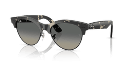 Ray-Ban 0RB2341 Güneş Gözlüğü