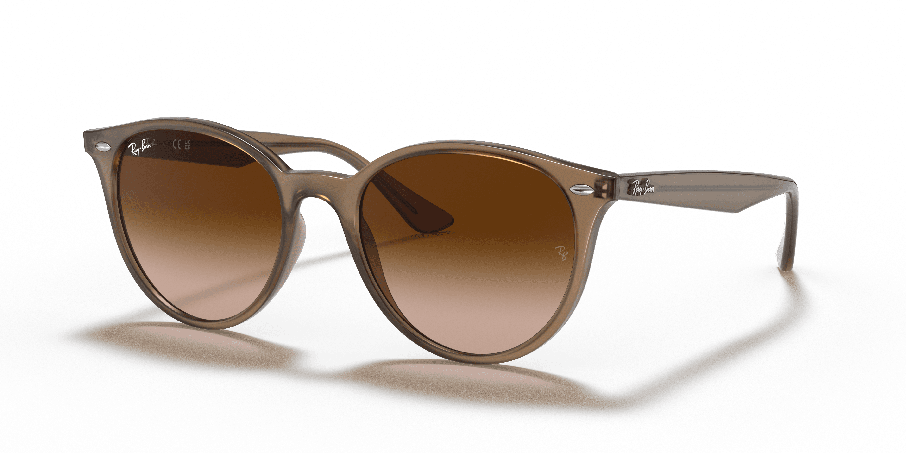 Ray-Ban 0RB4305 Güneş Gözlüğü