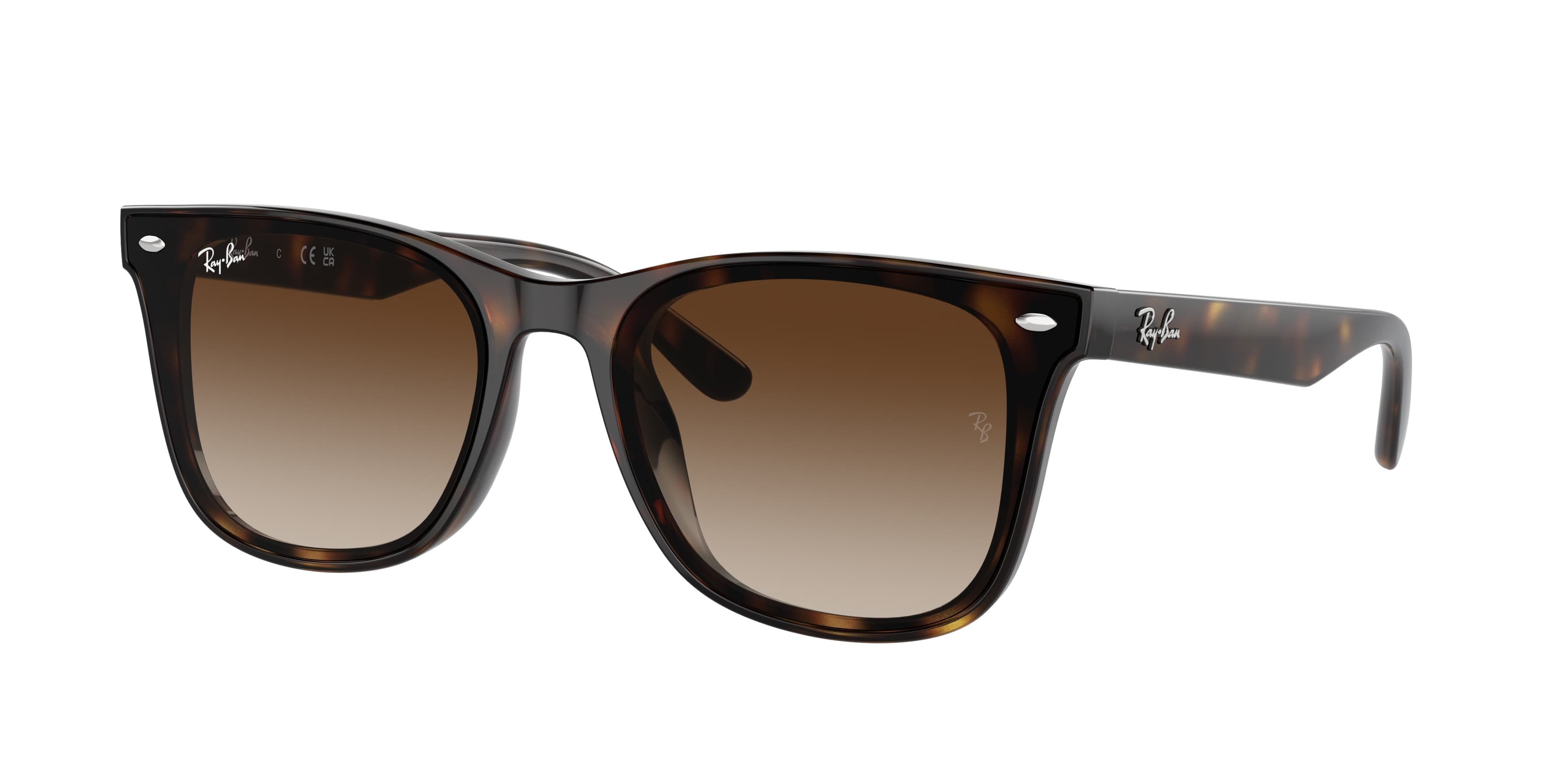 Ray-Ban 0RB4420 Güneş Gözlüğü