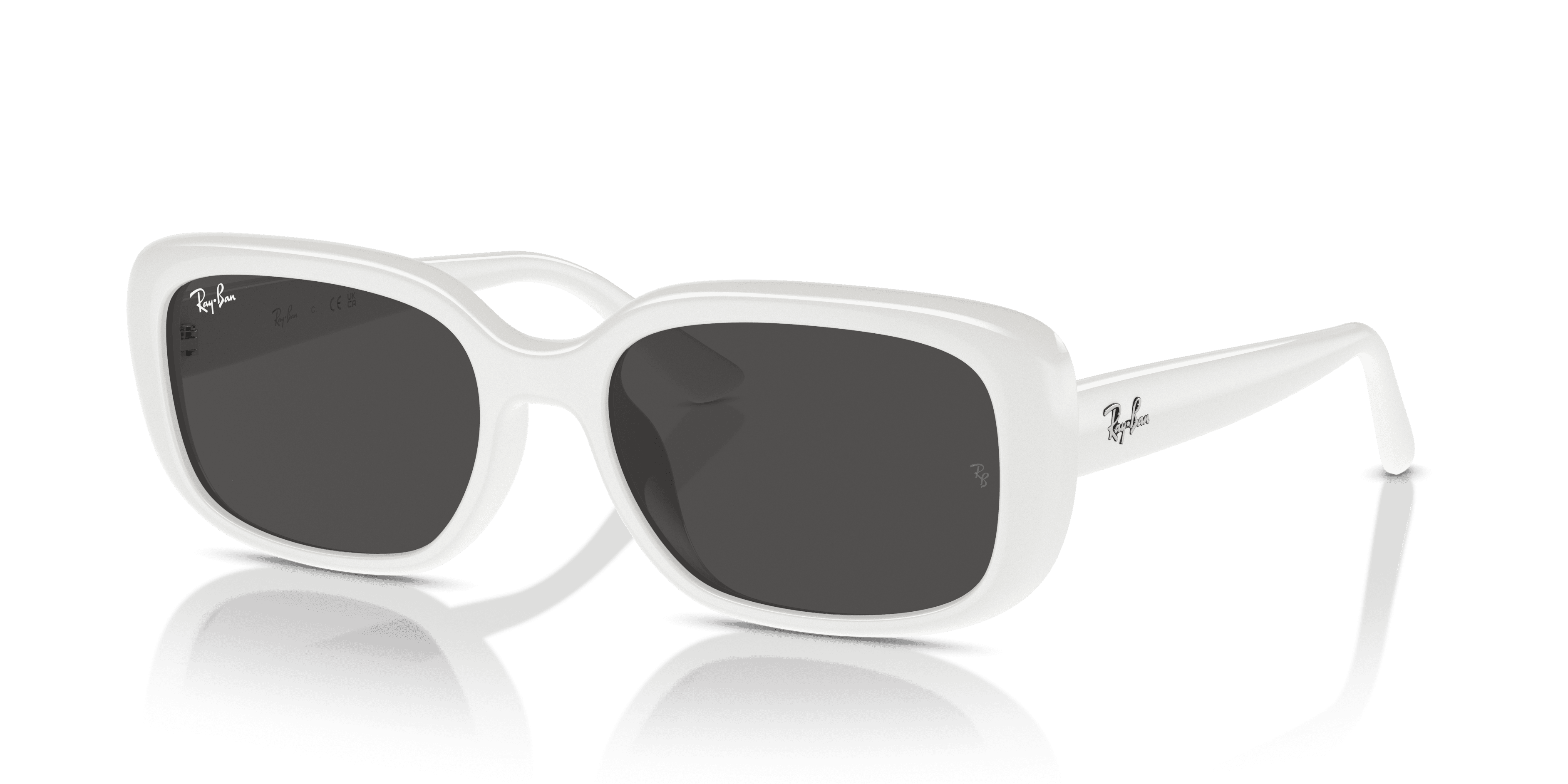 Ray-Ban 0RB4421D Güneş Gözlüğü