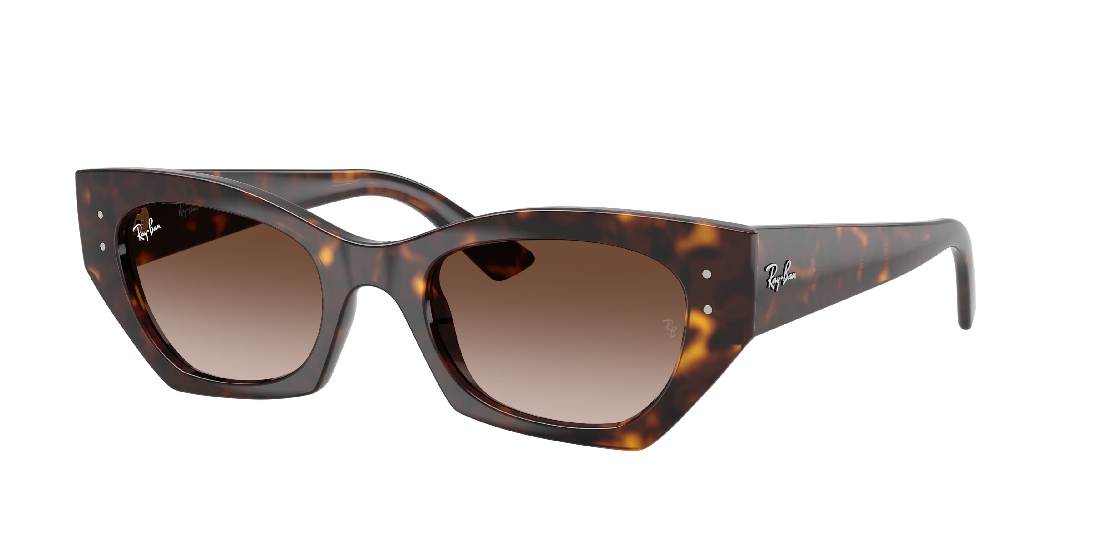 Ray-Ban 0RB4430 Güneş Gözlüğü