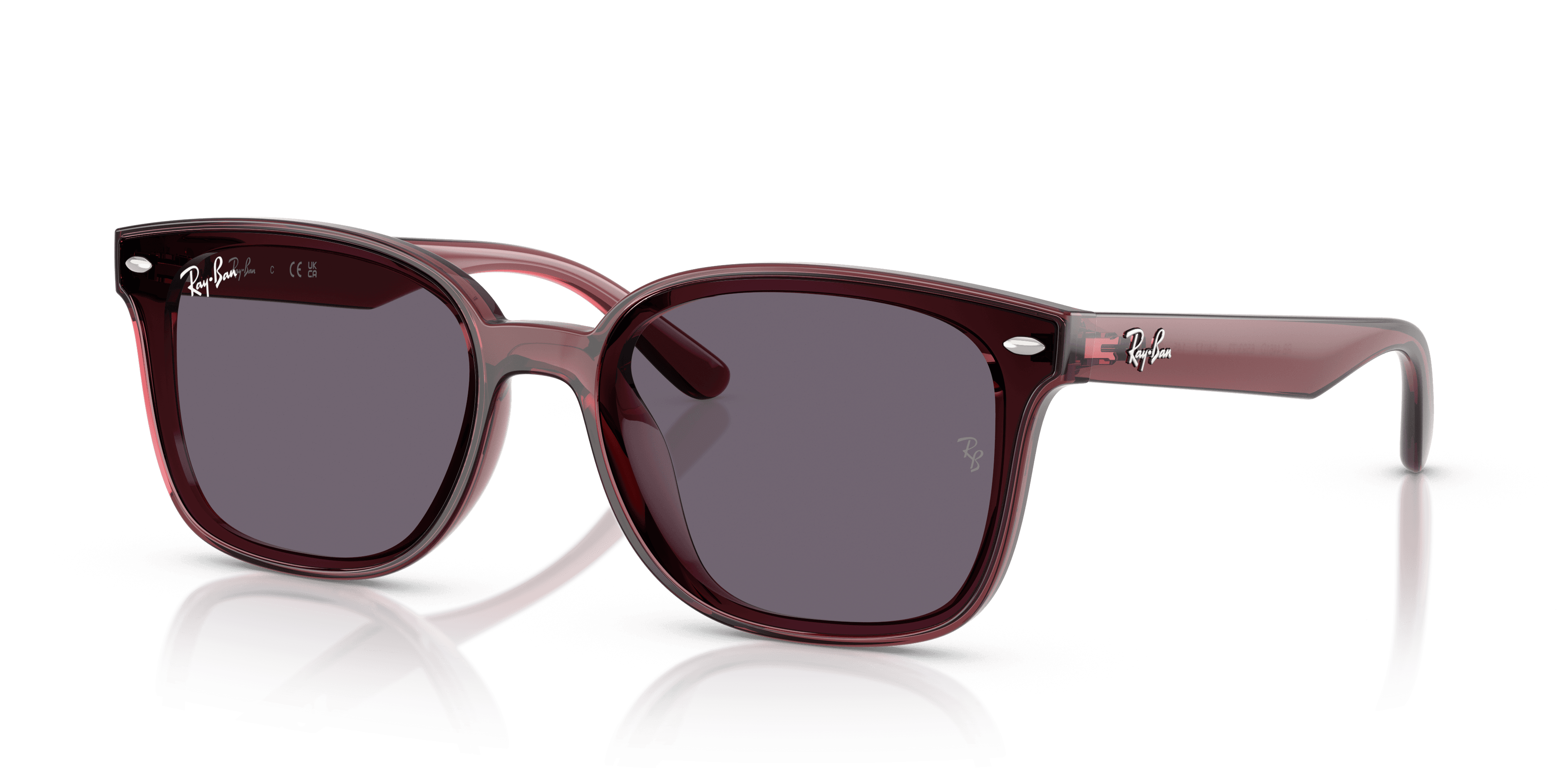 Ray-Ban 0RB4461D Güneş Gözlüğü