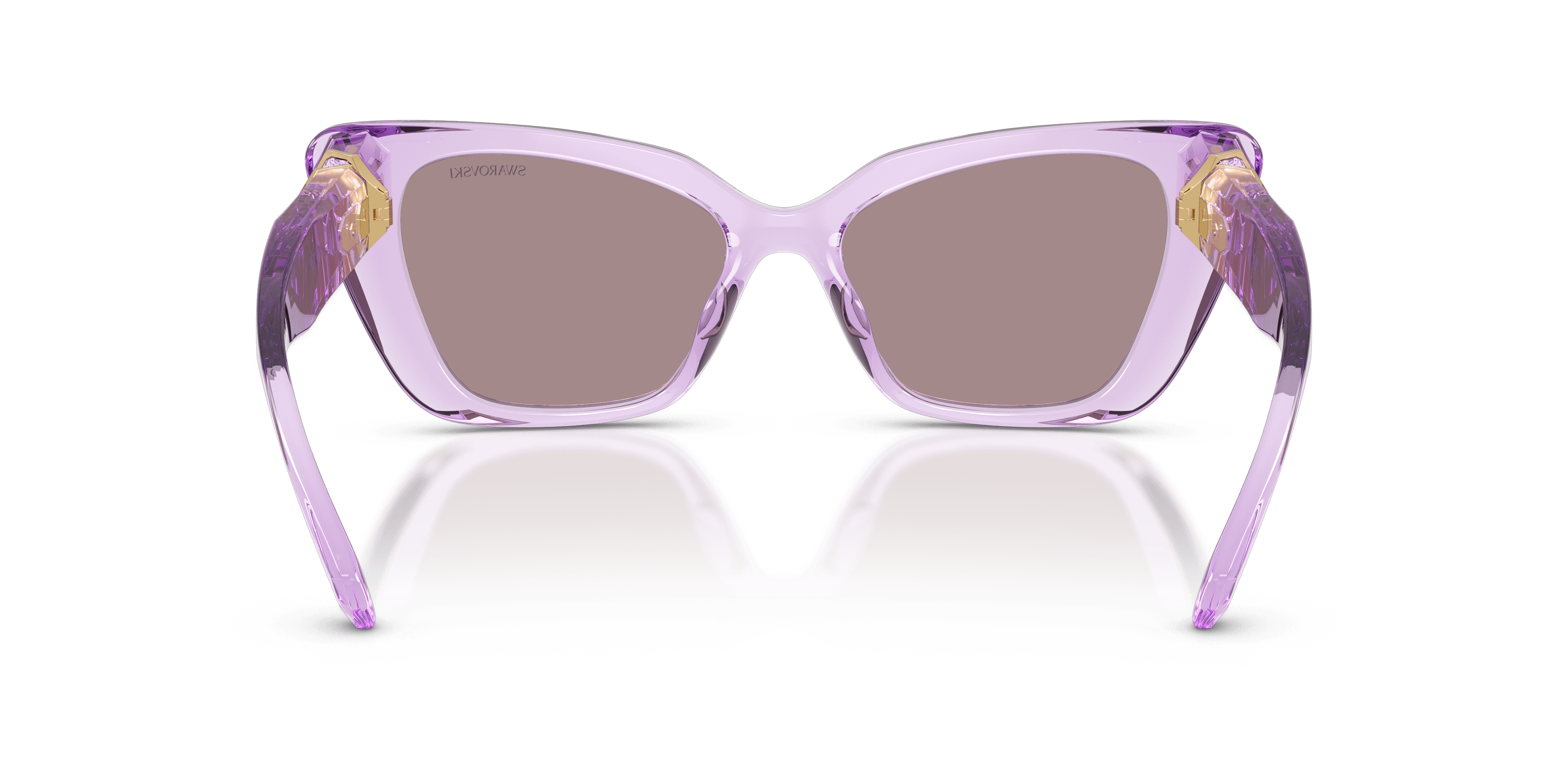Swarovski 0SK6047 Güneş Gözlüğü 3