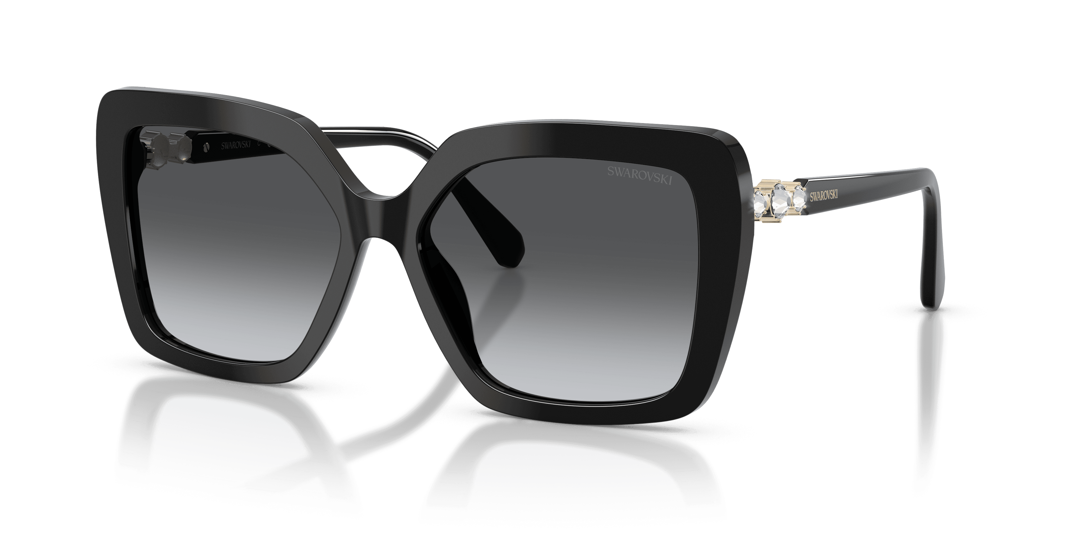 Swarovski 0SK6049 Güneş Gözlüğü
