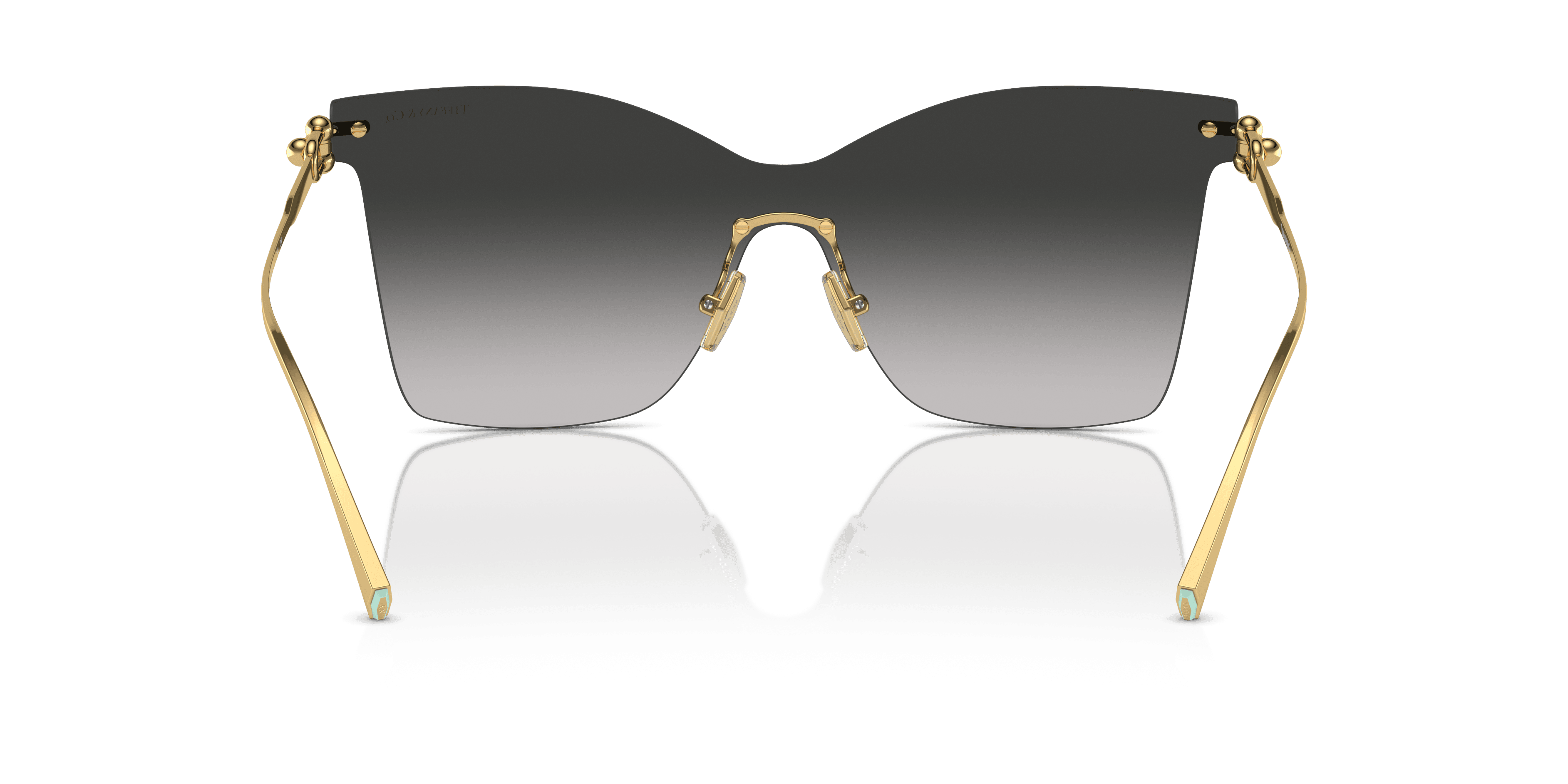 Tiffany & Co. 0TF3103K Güneş Gözlüğü 3